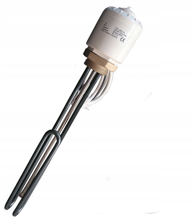 Ohrievač s termostatom 2000 W INOX 5/4 pre nerez