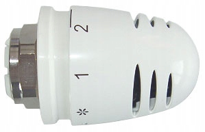 Herzova hlava 1920068